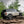 Ford Racing 21-23 Bronco Everglades Wheel Kit - Carbonized Gray M-1007K-P1785E