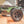 Latrax RC 2.2